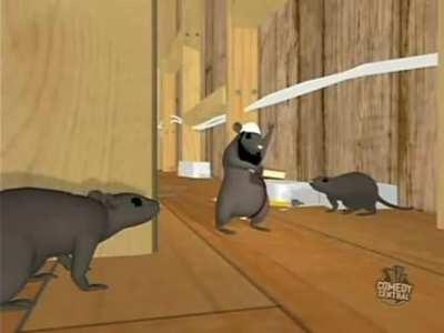 How to get rid of Rats