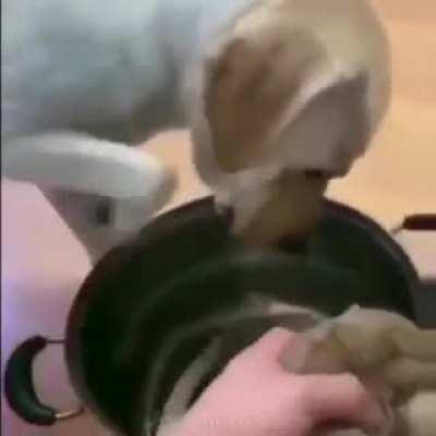 DE LOS MEJORES SACRIFICIOS DEL ANIME