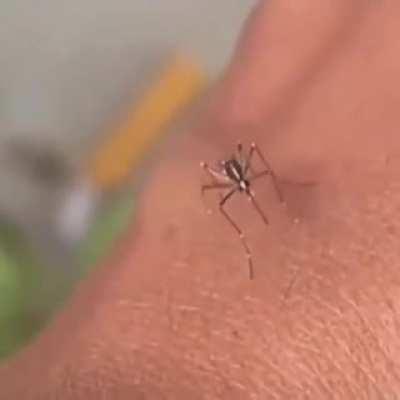 пить меньше надо