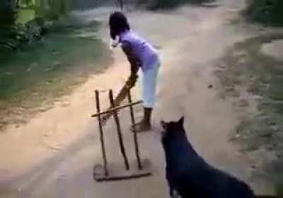 ICC Cricketer of the year