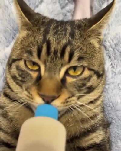 His ass can NOT solve advanced calculus