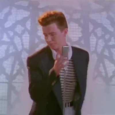 just a totally normal stickbug vid nothing to see here guys