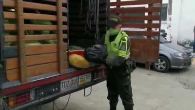 Thousands of pounds of marijuana found hidden inside watermelons