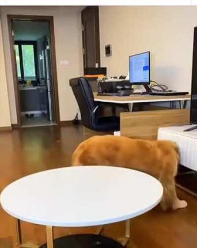 'Now the servant has become the master...'