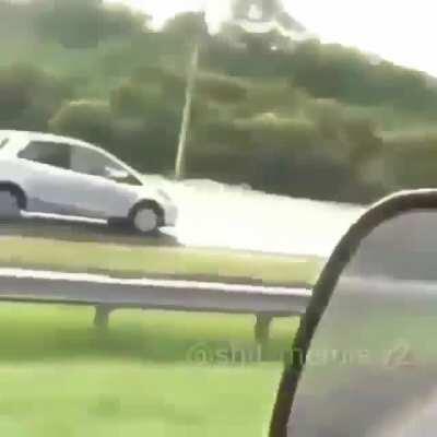 Es como de q están enamorados entienden?