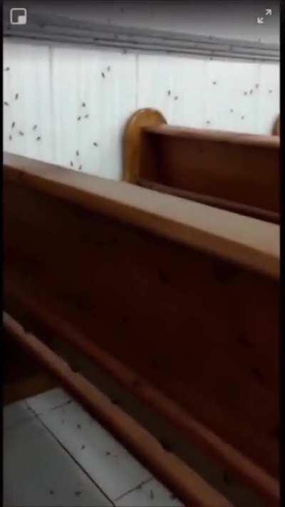 What do you think caused this to happen?