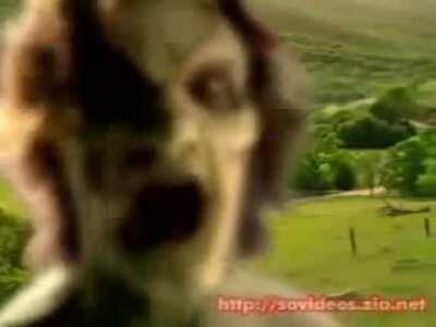 Fui procurar asiáticos fortalecendo o malaquias e acabei achando essa pérola. É difícil não rir.