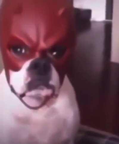 That one guy who puts “Quiet!”and “No” after you say “Have Fun!”