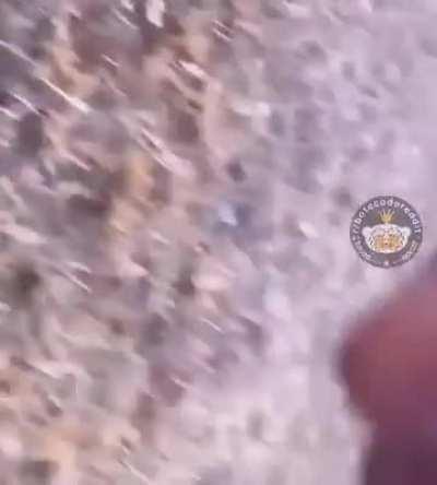 E o Darwin Awards de hoje vai para: