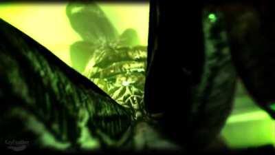 MORE... xenomorph sex by KEYFEATHER