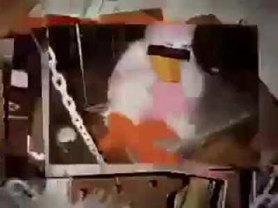 Let me just ruin everyone's childhood real quick