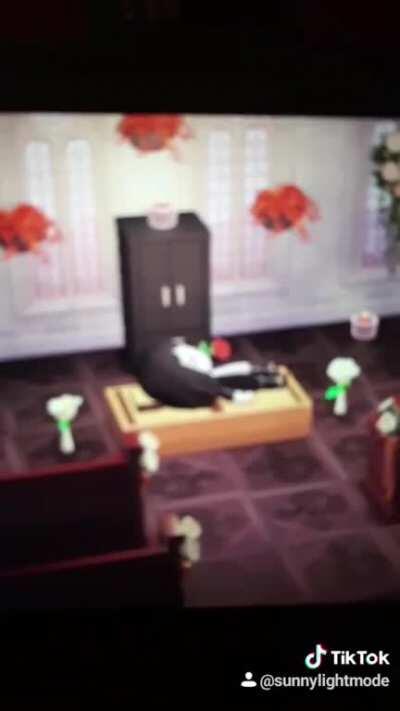 spent 4 hours making the helena music video set in animal crossing 😂