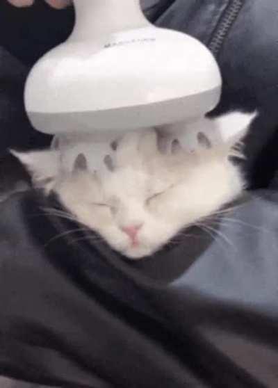 NO! Dont put it on me! Nooo- ahhhhhhhhhhhh yes