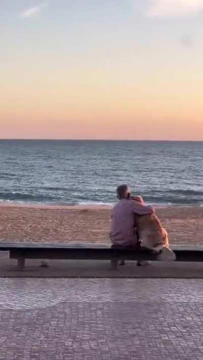 Old man watching sunset with his dog