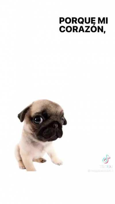 Ya pero respira bien po aer