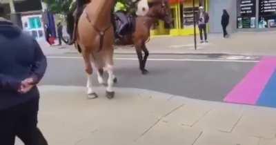 Neoliberalism? Na, miss me with that gay shit