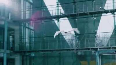 Робот BionicFlyingFox