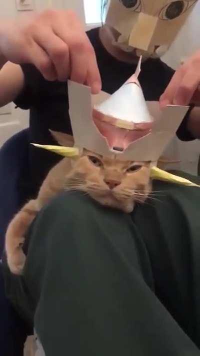 Use my head for a spaceship landing