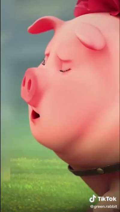 I have so many questions