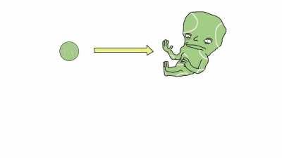 Деревенщины и огородники а вы знали об этом?