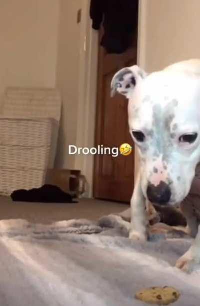 Lutando contra cada nervo de seu corpo