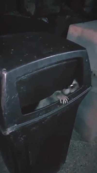 Сань, вылазь давай