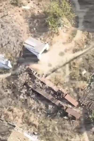 A Ukrainian cat, gun layer, on its duty