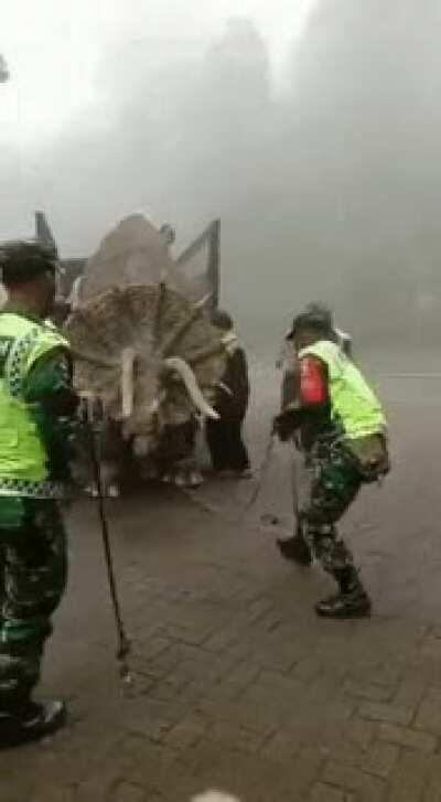 Они существуют