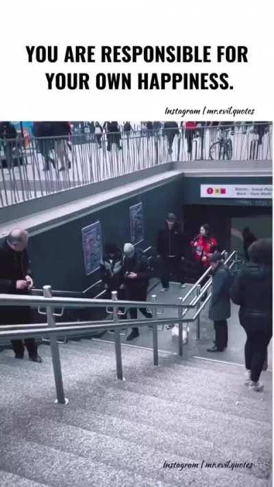 Little Dog Playing Fetch With Itself