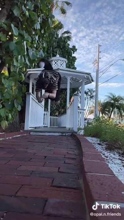 I thought the Gazebo was a bit of a dark film, but this is way darker.