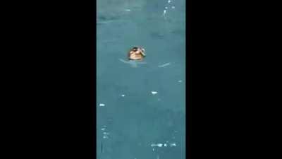 Steering's a bit off...