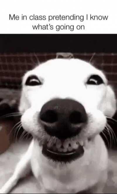 Hehehe I know what's going on