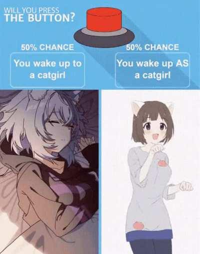 I'll take the chance