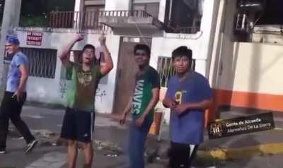 Hedgies when they realize it’s too late