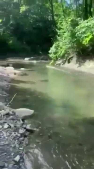 Just remembered I left the oven on at home