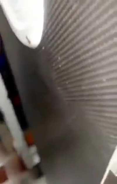 De otro mundo la maquinola 