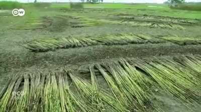 Is that plastic? Nope