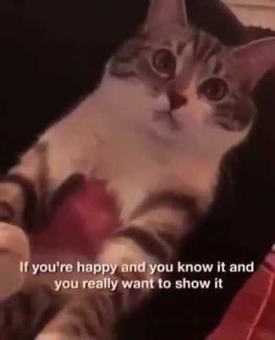 If you're happy and you know it say 