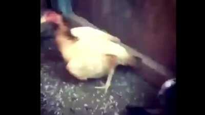 Yung naka 10 rounds na kayo.