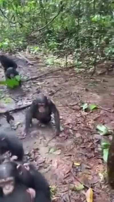 🔥Little boy Beckley meeting his new family for the first time
