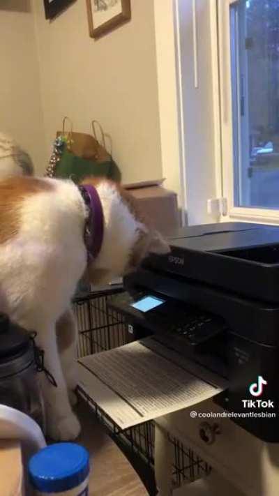 What did they think was going to happen?