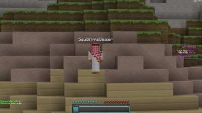 Just a normal game of minemen sumo v2