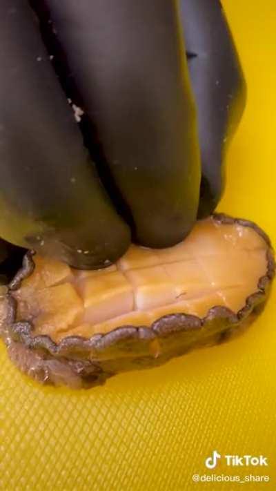 Testicles and Penis and Turtle OH MY 🐢