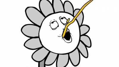 Thanks, I hate dog pee