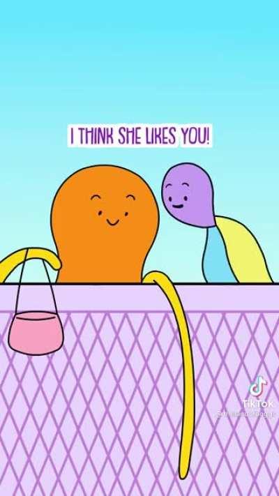 ENFP’s adopting introverted friends