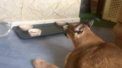 Very Much Words to Speak😎