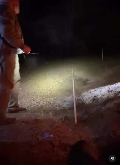 idiot seeking missile. 20 dmg on hit+10 aoe dmg, homes on the closest idiot