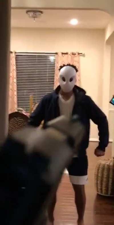 When the purge happens on your birthday