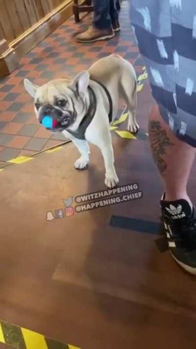 An interesting title