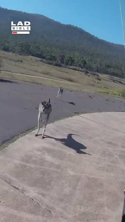 Dude landed in enemy territory